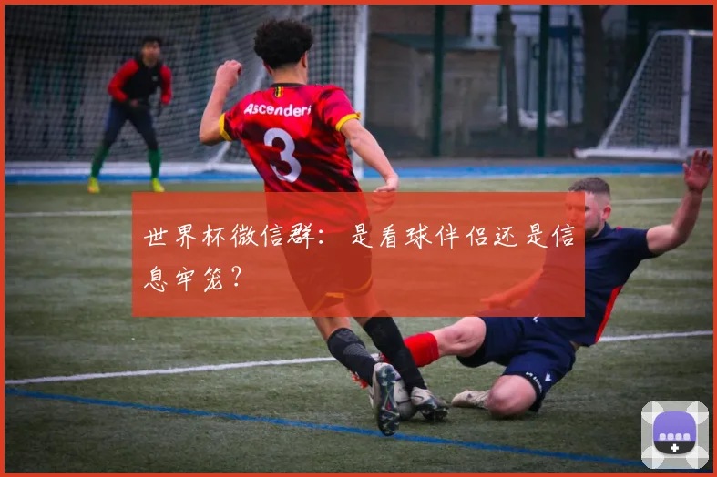 世界杯微信群：是看球伴侣还是信息牢笼？