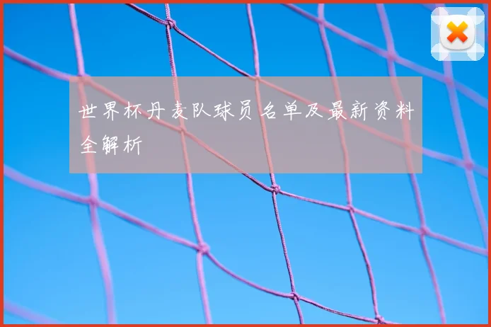 世界杯丹麦队球员名单及最新资料全解析
