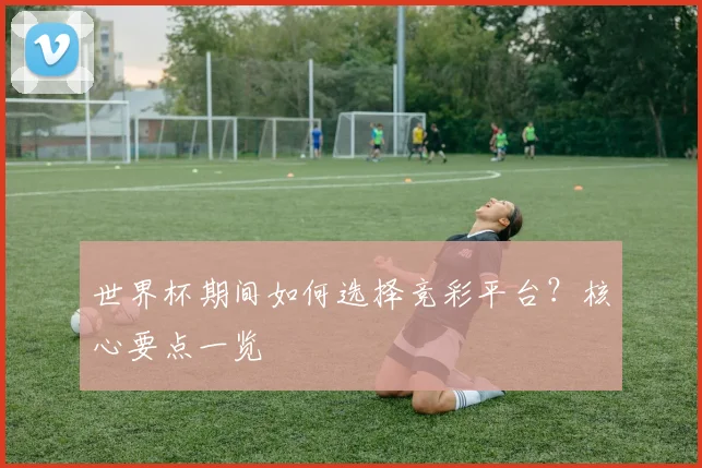 世界杯期间如何选择竞彩平台？核心要点一览