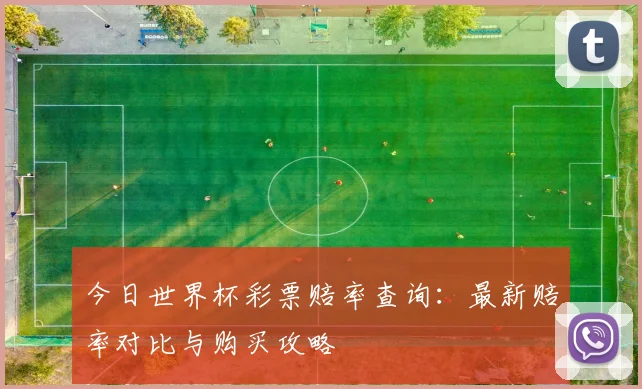 今日世界杯彩票赔率查询：最新赔率对比与购买攻略