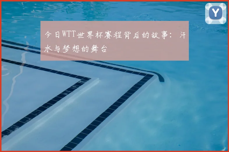 今日WTT世界杯赛程背后的故事：汗水与梦想的舞台