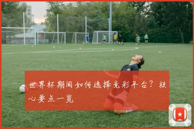 世界杯期间如何选择竞彩平台?核心要点一览