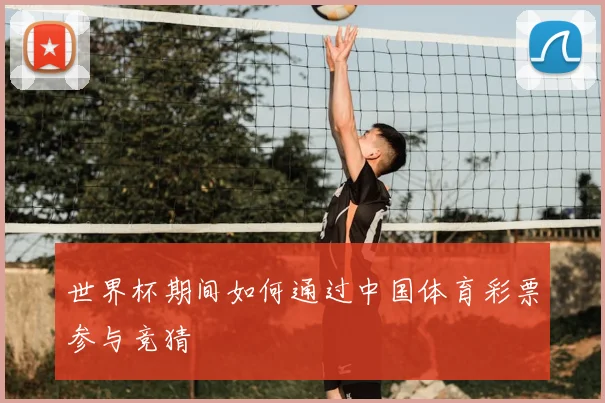 世界杯期间如何通过中国体育彩票参与竞猜