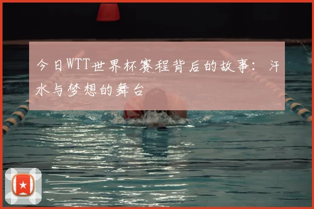 今日WTT世界杯赛程背后的故事：汗水与梦想的舞台