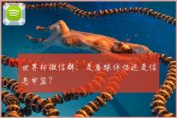 世界杯微信群：是看球伴侣还是信息牢笼？