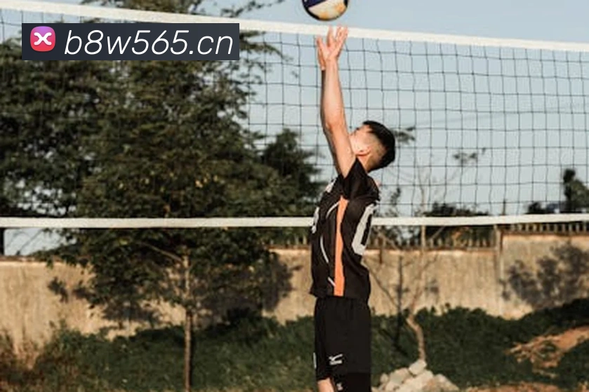 星空体育官方在线登录APP 高清赛事图